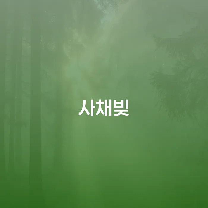 개인회생기각 당했을 때 채무조정제도을 이용하여 확인 하고 진행
