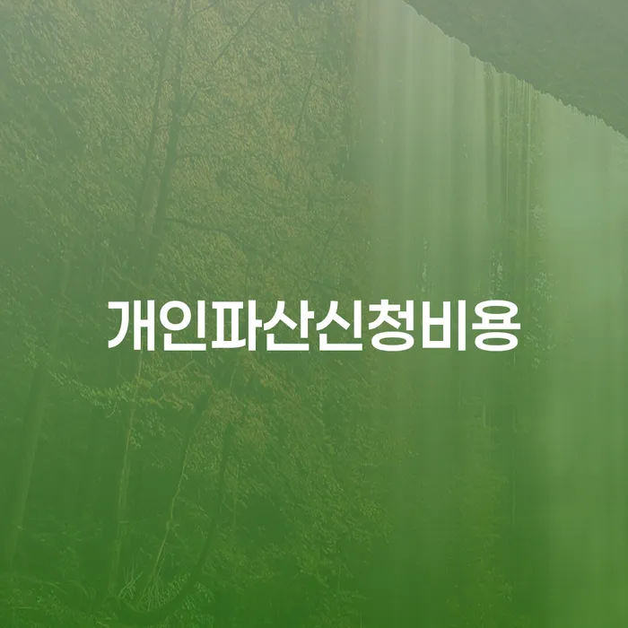 파산자격 개인회생 적정한