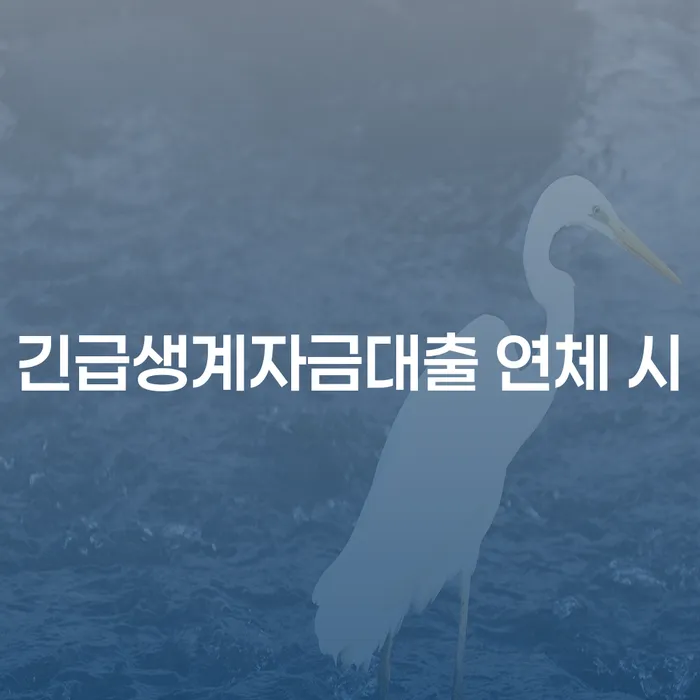 개인회생파산신청 신용회복 선택을 어떻게..