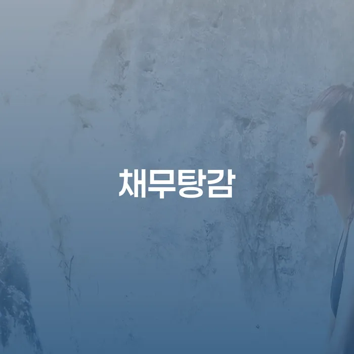 개인회생재신청 채무조정제도을 이용하여 절차 이해해야