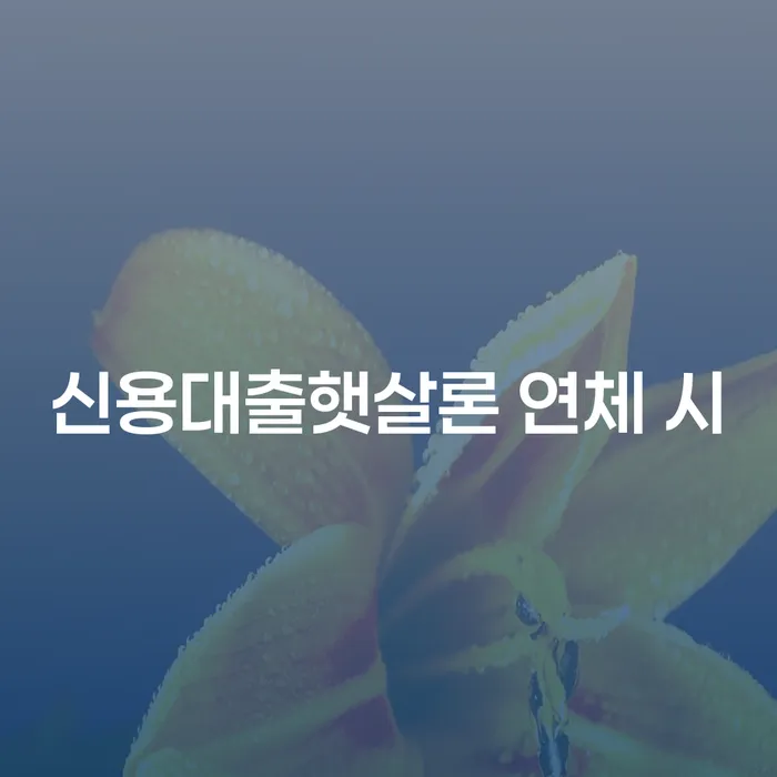 안산시 개인회생도박으로 인한 채무 정리 빚갚는 방법 준비해야