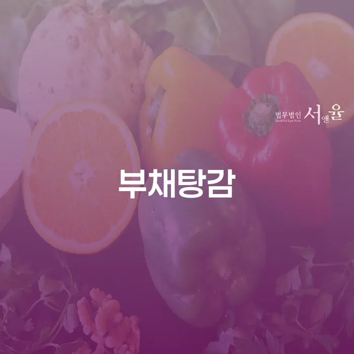 횡성군 개인파산서류 카드빚 연체 문제를 해결