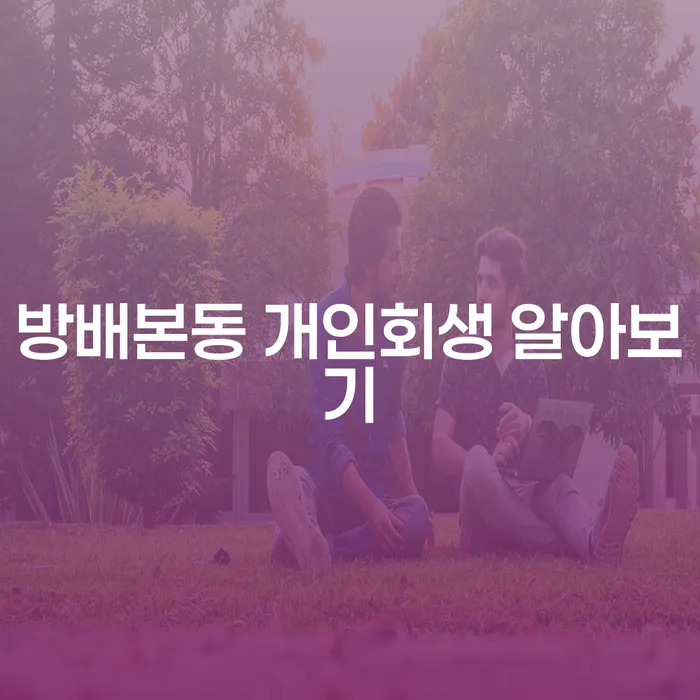 방배본동 개인회생 알아보기