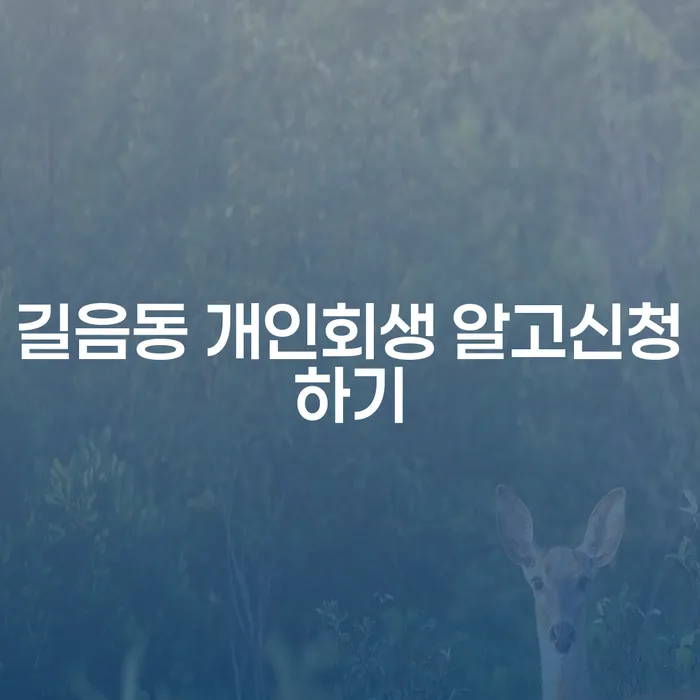 길음동 개인회생 알고신청하기