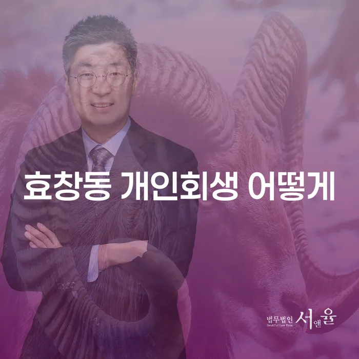 효창동 개인회생 어떻게