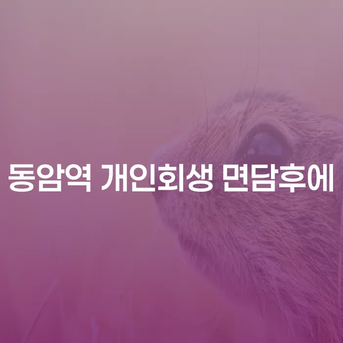 동암역 개인회생 면담후에