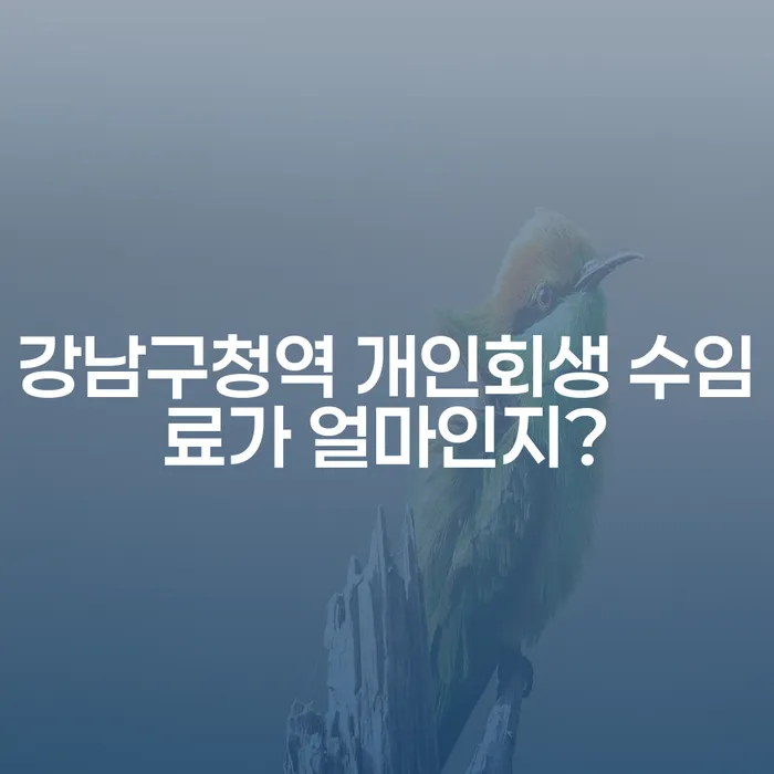 강남구청역 개인회생 수임료가 얼마인지?