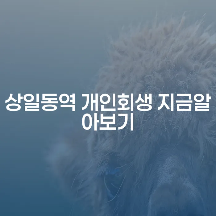 상일동역 개인회생 지금알아보기