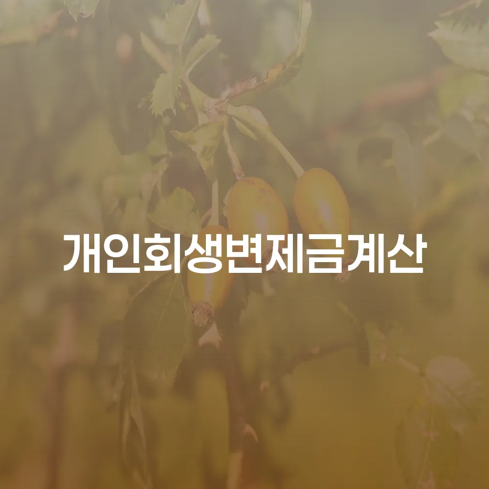 개인회생 변제금 계산의 중요성과 방법