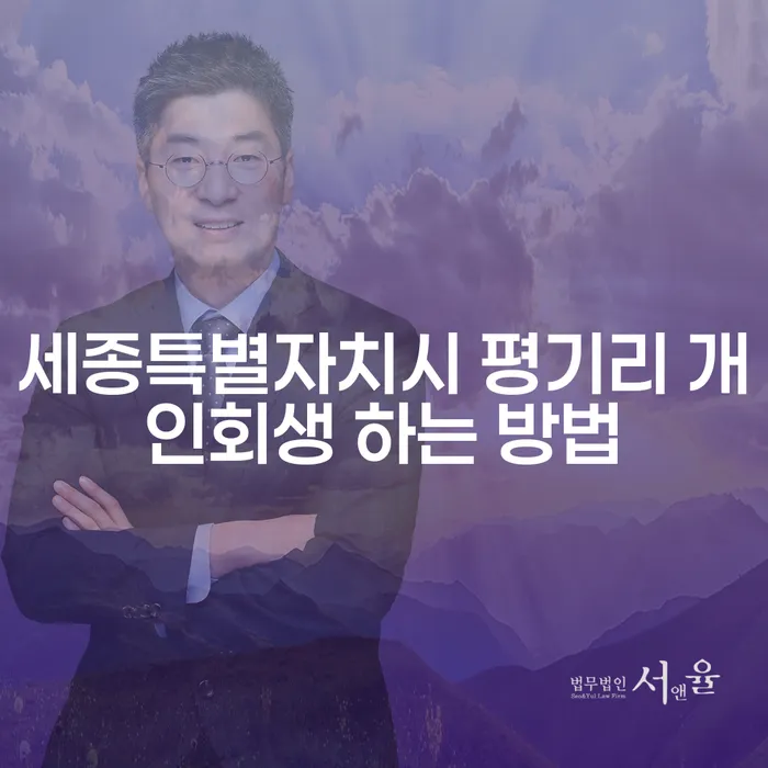 세종특별자치시 평기리에서 개인회생을 시작하는 방법은 무엇일까요?