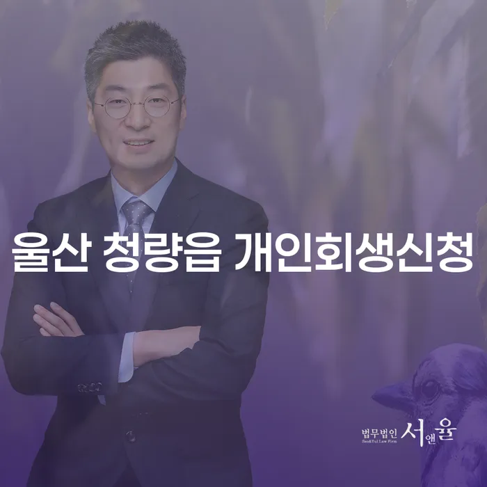 울산 청량읍 개인회생신청, 어떻게 해야 할까요?