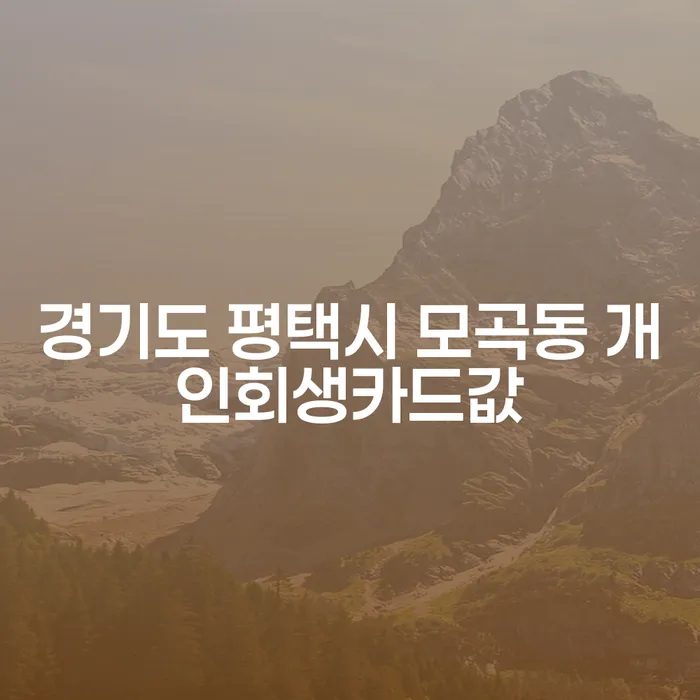 경기도 평택시 모곡동에서 개인회생으로 카드값 문제 해결할 수 있을까요?