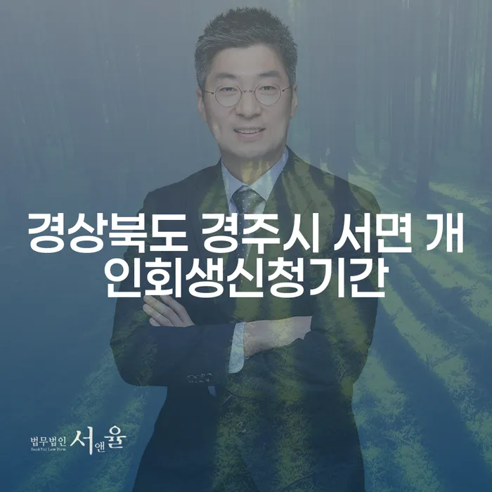 경상북도 경주시 서면에서 개인회생신청기간은 언제일까요? 불법사채피해로부터 벗어나는 방법은?