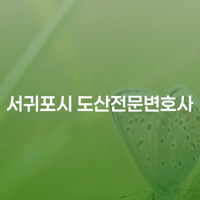 서귀포시 도산전문변호사와 영광군 개인회생: 어떻게 해결할 수 있을까요?