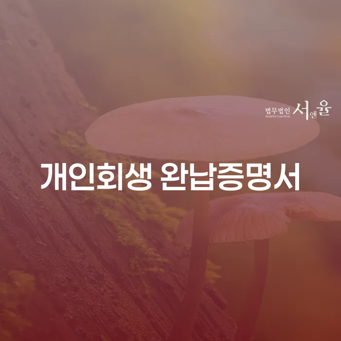 개인회생 완납증명서를 받으려면 어떤 절차가 필요한가요?