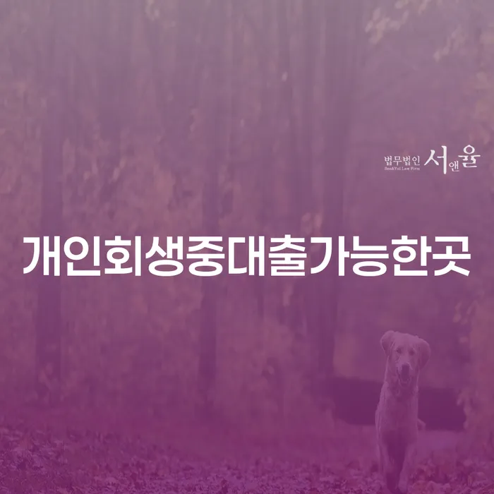 개인회생 중 대출 가능한 곳은 어디일까요?
